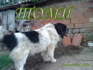 Прикачена снимка