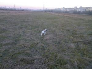 Прикачена снимка
