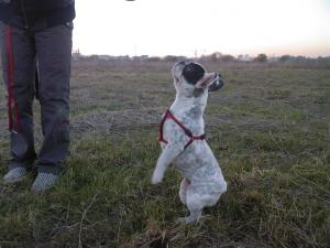 Прикачена снимка