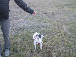 Прикачена снимка