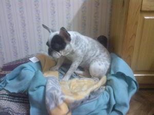Прикачена снимка