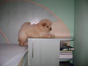 Прикачена снимка