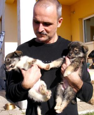Прикачена снимка