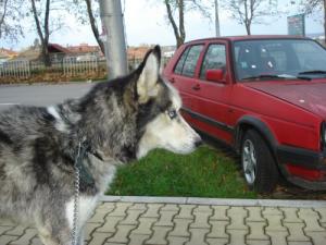 Прикачена снимка