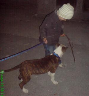 Прикачена снимка