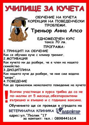 Прикачена снимка
