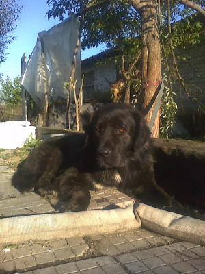 Прикачена снимка