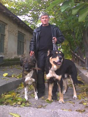 Прикачена снимка