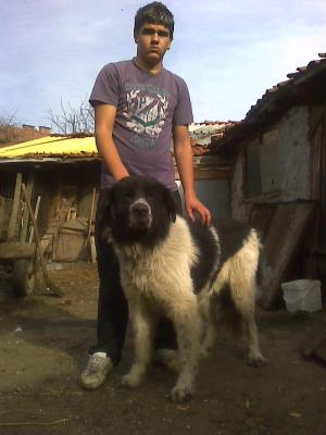 Прикачена снимка