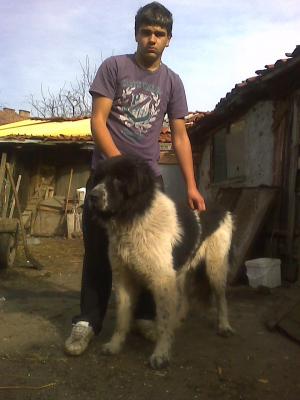 Прикачена снимка