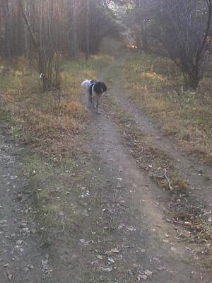 Прикачена снимка
