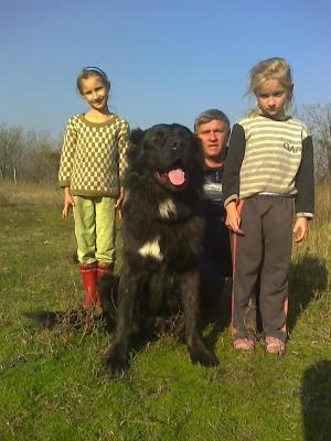 Прикачена снимка