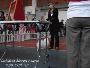 Прикачена снимка