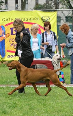 Прикачена снимка