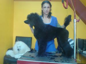 Прикачена снимка