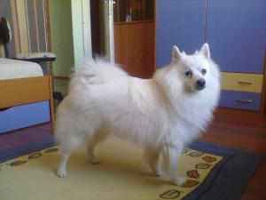 Прикачена снимка