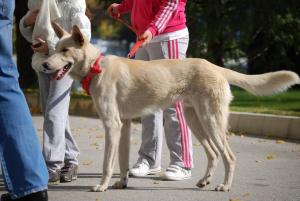 Прикачена снимка