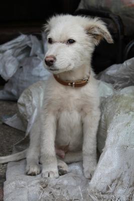 Прикачена снимка