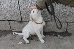 Прикачена снимка