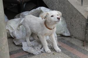 Прикачена снимка