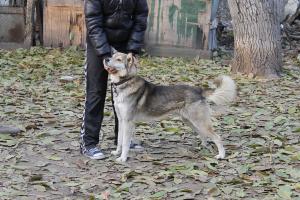Прикачена снимка