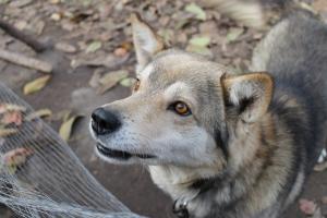 Прикачена снимка