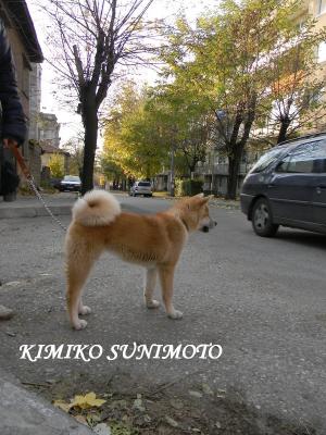 Прикачена снимка