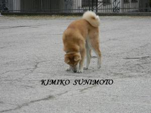 Прикачена снимка