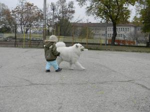 Прикачена снимка