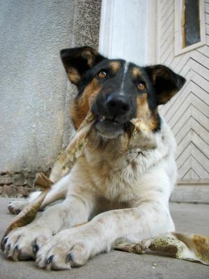 Прикачена снимка