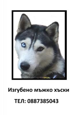 Прикачена снимка