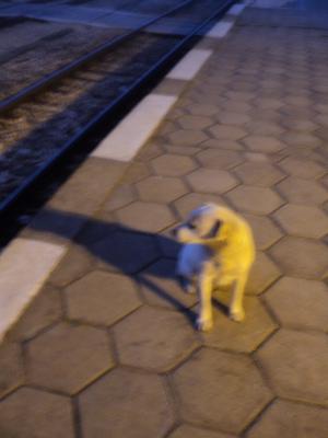 Прикачена снимка