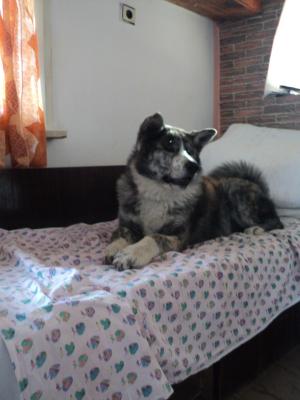Прикачена снимка