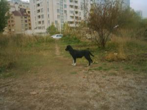 Прикачена снимка
