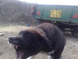 Прикачена снимка