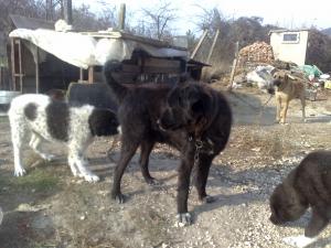 Прикачена снимка
