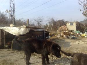 Прикачена снимка