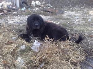 Прикачена снимка