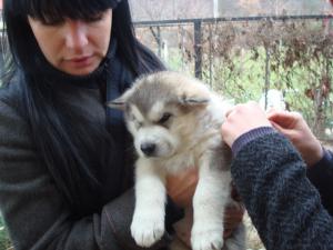 Прикачена снимка