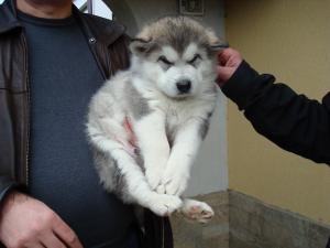 Прикачена снимка