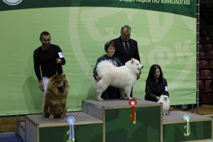 Прикачена снимка