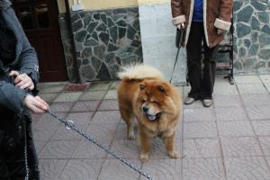 Прикачена снимка