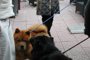 Прикачена снимка