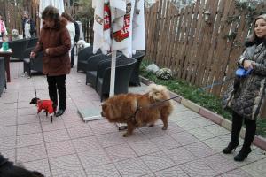 Прикачена снимка
