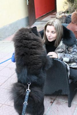 Прикачена снимка