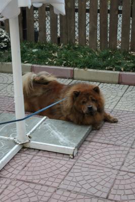 Прикачена снимка