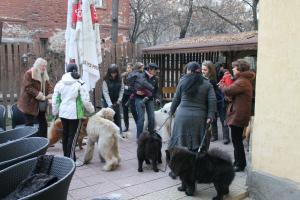 Прикачена снимка