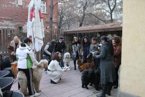 Прикачена снимка
