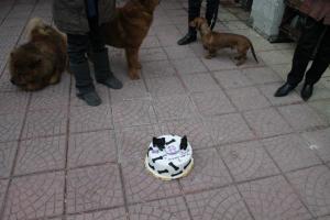 Прикачена снимка