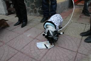 Прикачена снимка